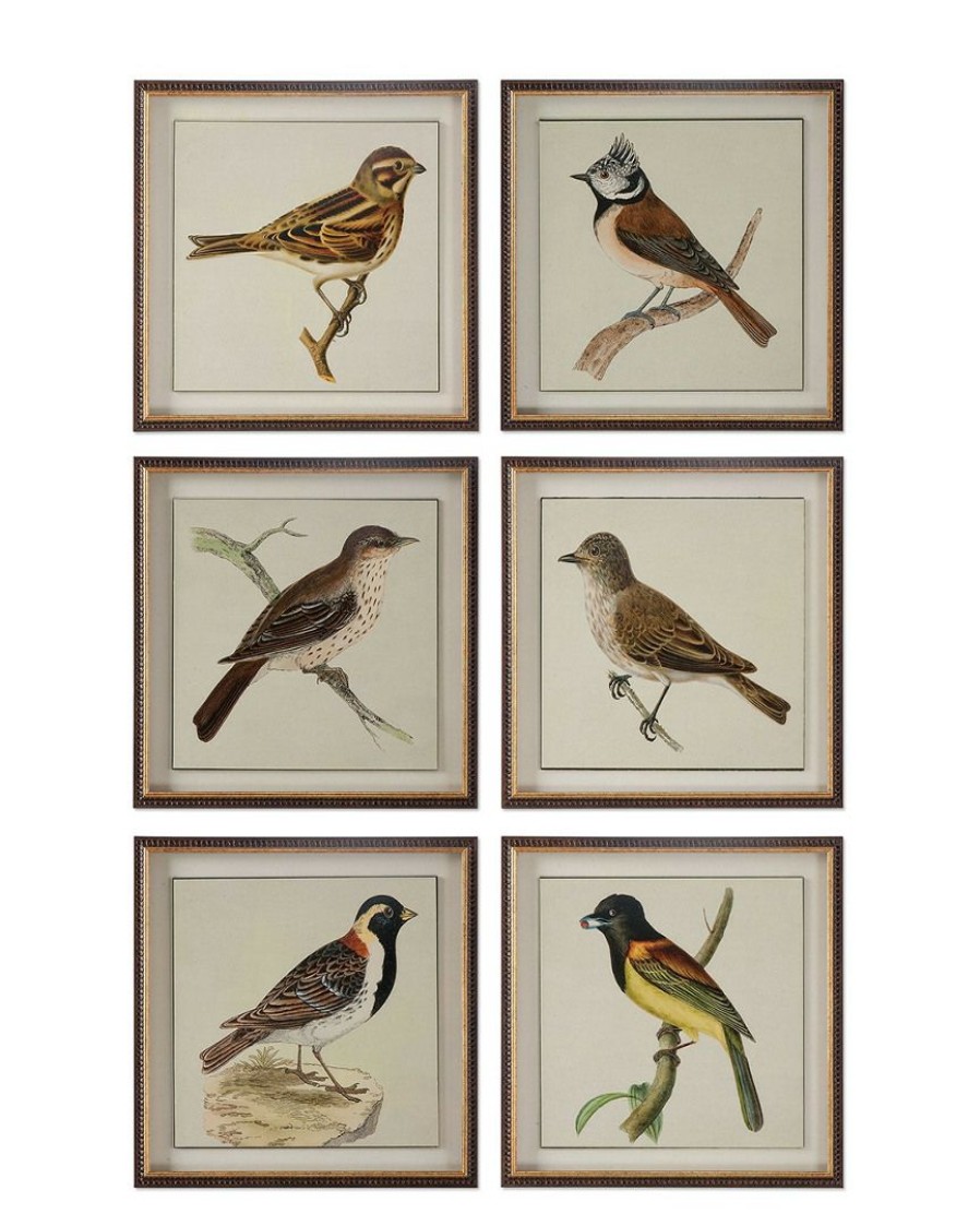 Mirrors & Wall Art * | Set Of 6 Uttermost Spring Soldiers Bird Prints, Home Mirrors & Wall Art