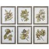 Mirrors & Wall Art * | Set Of 6 Uttermost Seedlings Framed Prints Home Mirrors & Wall Art