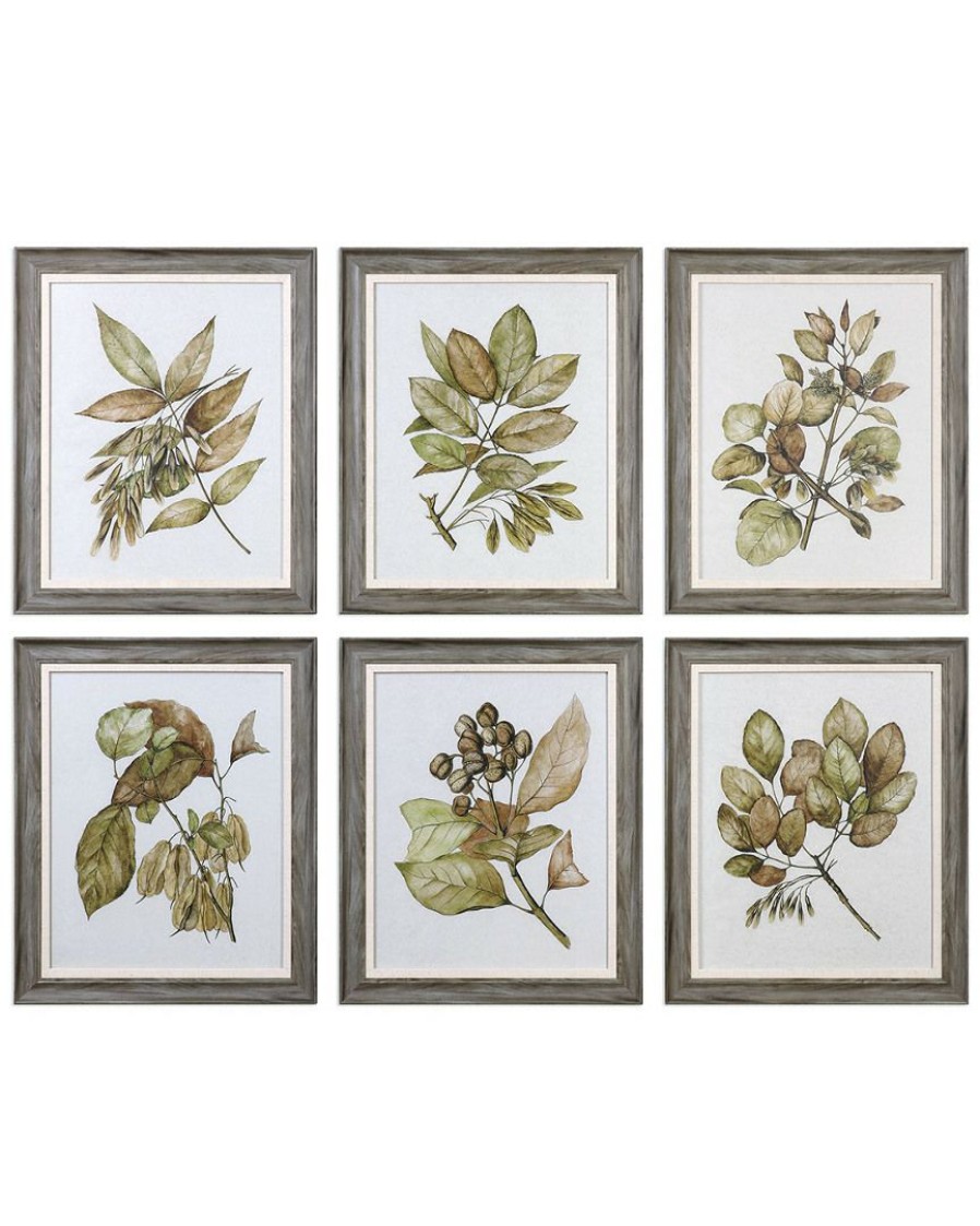 Mirrors & Wall Art * | Set Of 6 Uttermost Seedlings Framed Prints Home Mirrors & Wall Art