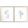 Mirrors & Wall Art * | Set Of 2 Uttermost Botanical Sketches Framed Prints Home Mirrors & Wall Art