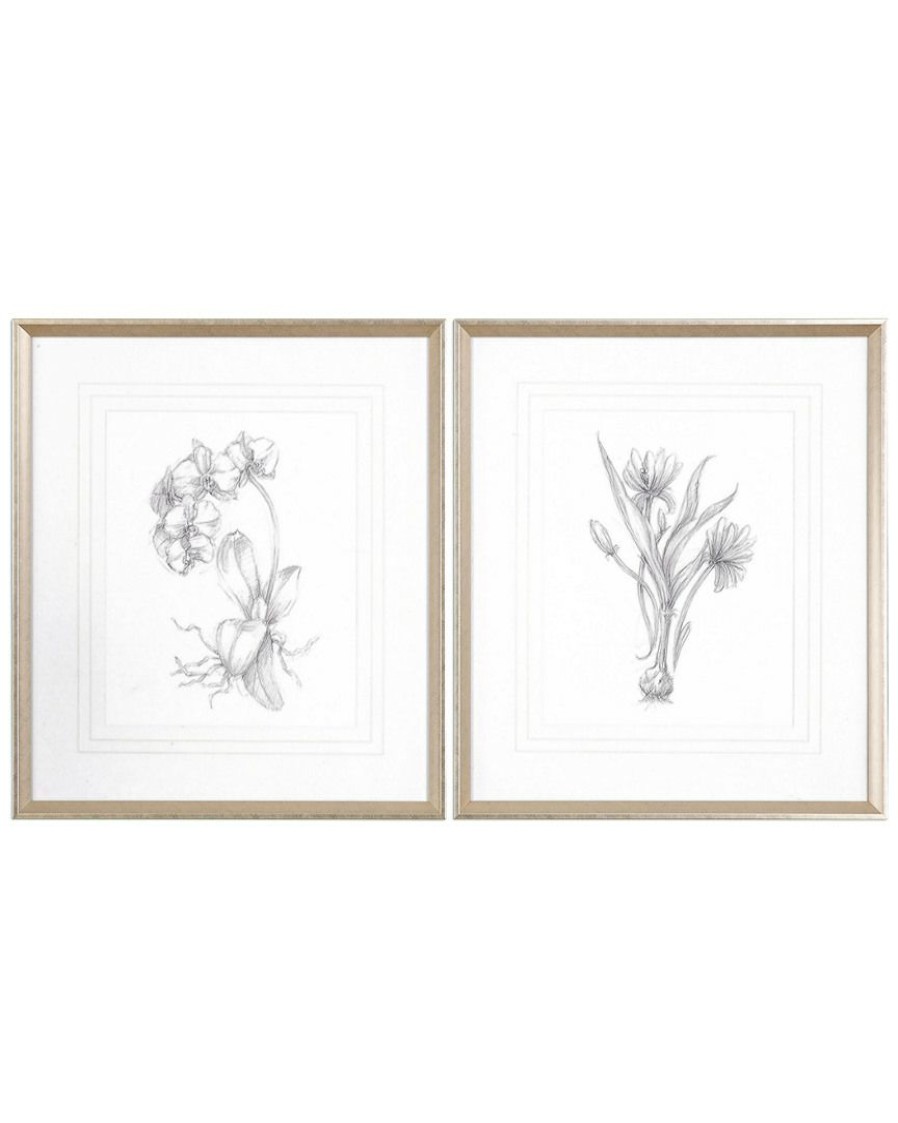 Mirrors & Wall Art * | Set Of 2 Uttermost Botanical Sketches Framed Prints Home Mirrors & Wall Art