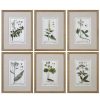 Mirrors & Wall Art * | Set Of 6 Uttermost Green Floral Botanical Study Prints Home Mirrors & Wall Art