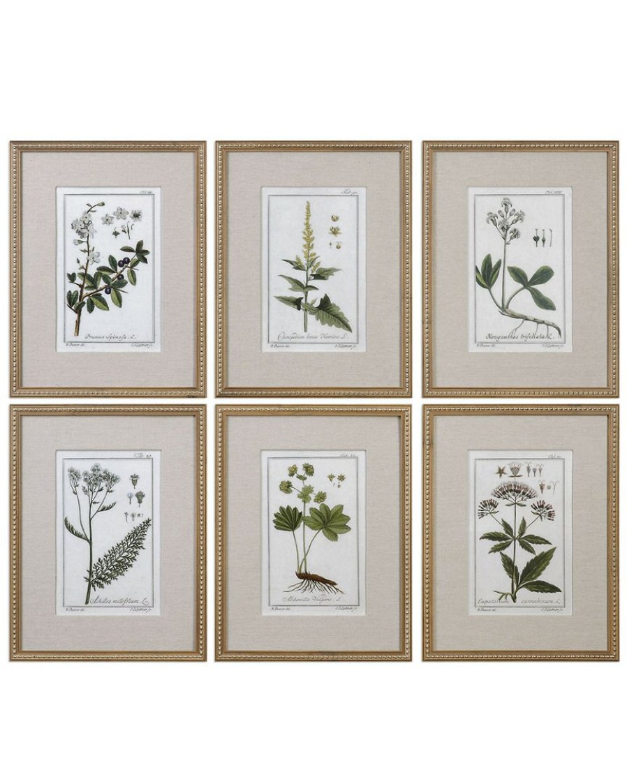 Mirrors & Wall Art * | Set Of 6 Uttermost Green Floral Botanical Study Prints Home Mirrors & Wall Art