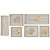 Mirrors & Wall Art * | Set Of 6 Uttermost Golden Leaves Shadow Box Home Mirrors & Wall Art